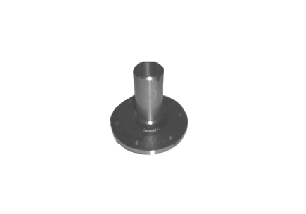 GUIA DE DIRECTA F100/4000 CAJA ZF S5-420